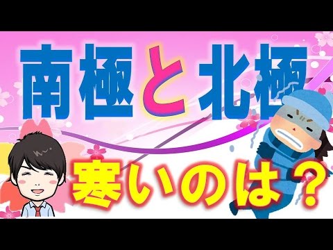 【3分】  北極と南極はどちらが寒いの？