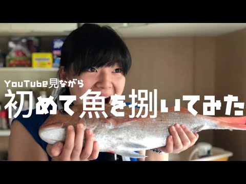 【vlog】ガチの初めて魚を捌いてみた