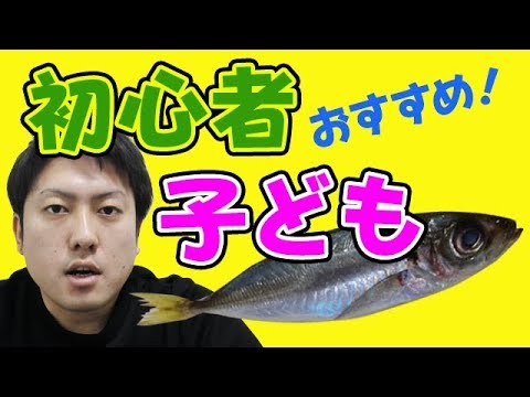 【魚図鑑 豆アジ】初心者に！ 子供に！手軽な小アジ釣り！ 美味しい食べ方は？