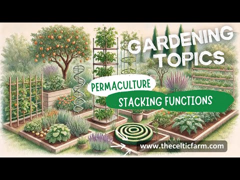 Create a Self-Sustaining Garden: How to Stack Functions with Permaculture!