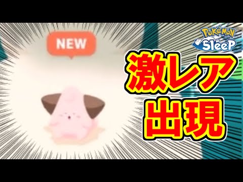 ずっと君に会いたかった・・・。【ポケモンスリープ】