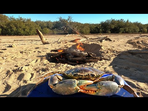 Catch & Cook | Mud Crabbing Australia