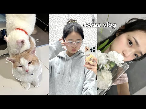 KOREA VLOG🧸: personal colour test, cute clothing haul, what i eat, phone case making & more