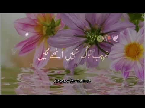 'Tahajjud' Ki Namaz 🥀 | Islamic WhatsApp Status |