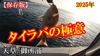 【タイラバの極意 保存版】これがタイラバ釣りの醍醐味だ！2025年初釣り㏌天草／御所浦