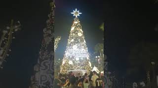 Snowing Christmas tree at Sunway Pyramid 圣诞树下雪了。#snow #snowfall #下雪 #sunwaypyramid #christmas