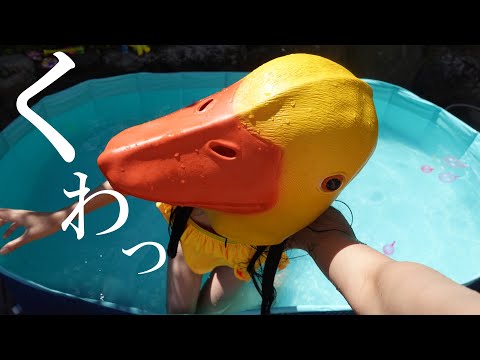 アザラシになりたいアヒル🐤風強い