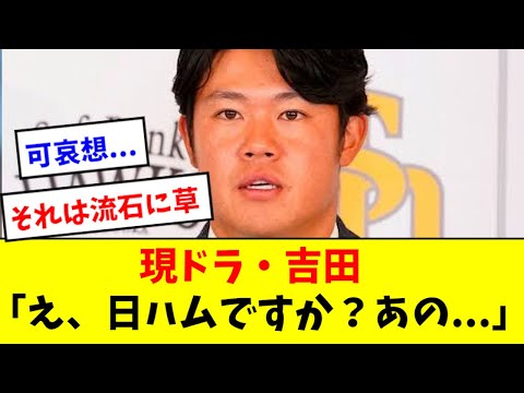 【現ドラ】吉田、日ハム行きに正直コメントwwwwwww