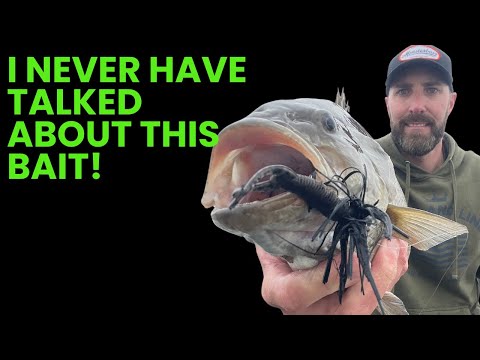 This bait catches HUGE Bass!