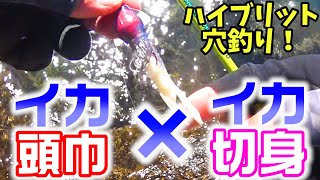 【穴釣り】ワームと餌を合体！イカ頭巾とイカの切り身でアレンジ釣りしてみた