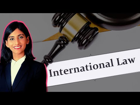 Internships to do for a career in International Law