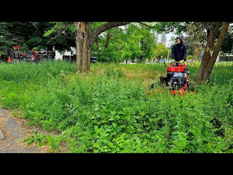 Community With The Most UNWELCOMING Front Yard Gets CLEANED UP