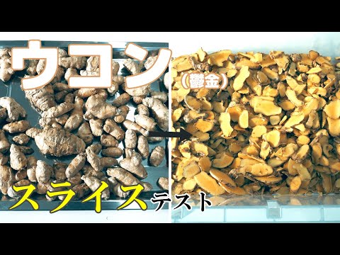 【乾燥の前工程など】ウコン（鬱金）を電動野菜スライサーでスライスしました