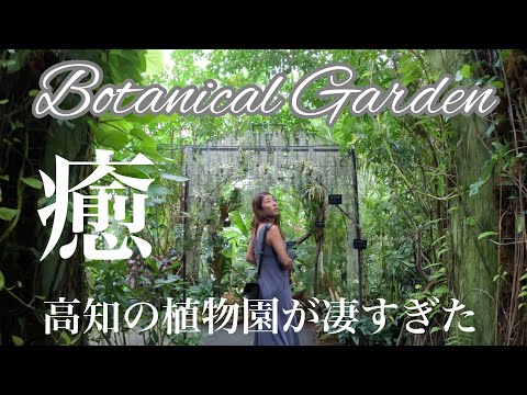 【高知】感動‼︎ラピュタのような植物園＃牧野植物園 #らんまん