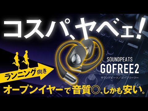 【良いのに、お安くってヨ!?】GoFree2 サウンドピーツのレビュー