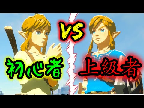 Noob vs Pro 【Zelda Breath of the wild】