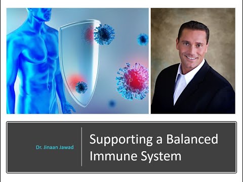 How Does The Immune System Work?