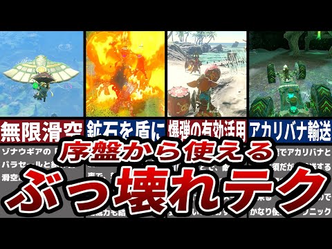 【ティアキン】序盤から使える必須テク9選【ゼルダ】