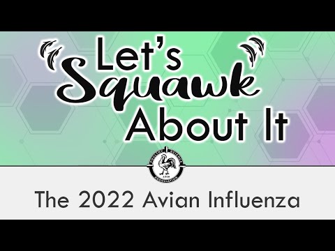 Let's Squawk About It (S3 E2): The 2022 Avian Influenza