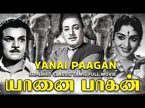 Yanai Paagan || M. G. Ramachandran, Saroja Devi, M.A.Thirumugam || Tamil Superhit Classic Movie