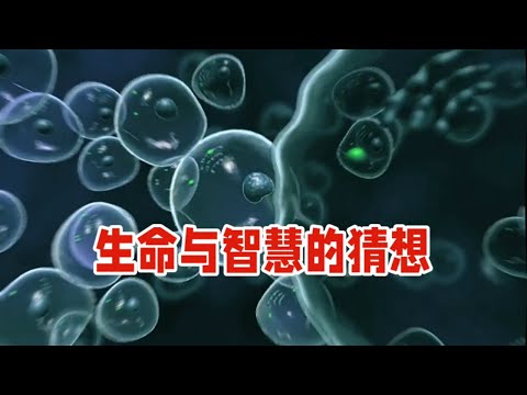 生命进化：从细胞到智慧文明