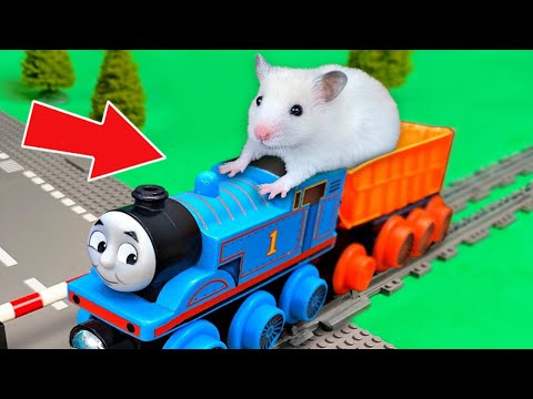 HAMSTER EXPRESS TRAIN JOURNEY | DIY HAMSTER MAZE