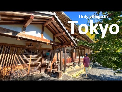 Staying The Only Village in Tokyo, 90 Minutes from Shinjuku | Hinohara Village | JAPAN TRAVEL VLOG