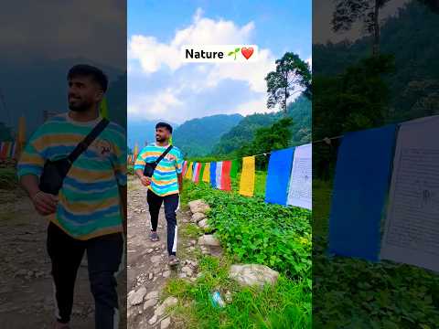 Iss nature se pyar hojayega 🥺❤️ #nature #naturelovers #naturelover #shorts #youtube #youtubeshorts