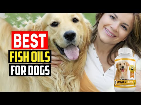 ✅ Top 5 Best Fish Oils For Dogs in 2023