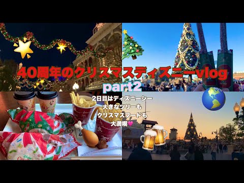 北海道在住の仲良し夫婦が行くまったりクリスマスディズニーpart2