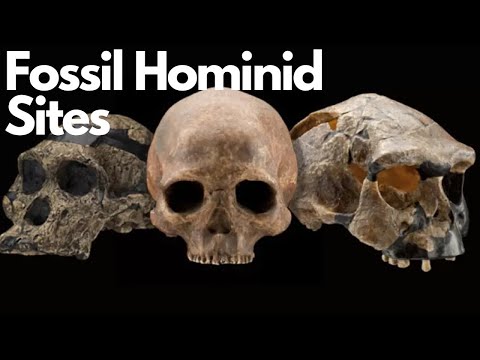 Exploring the Fossil Hominid Sites of South Africa