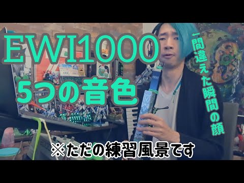 【ただの練習風景】EWI1000の音色をそこはかとなく5個くらい吹いてみました / 何故か全曲aiko縛り