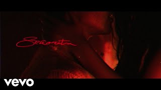 Shawn Mendes, Camila Cabello - Señorita (Lyric Video)