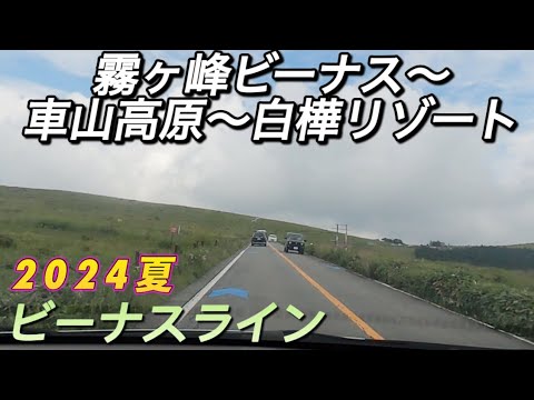 【ビーナスライン】2024/8/13 霧ヶ峰ビーナス〜車山高原〜白樺リゾートドライブ