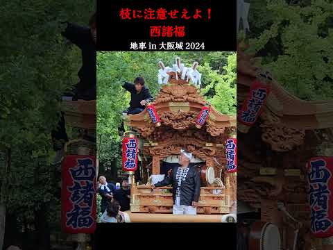 枝に注意せえよ❗西諸福だんじり/太陽の広場『地車 in 大阪城 2024』