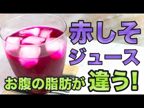 【食材２つで作る】赤しそジュース！かんたんレモン入り【農薬不使用】