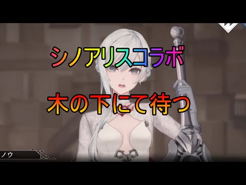 【トワツガイ】シノアリスコラボ謎のメッセージ？(CV近藤玲奈/立花理香/高橋李依/立花日菜/上田麗奈)