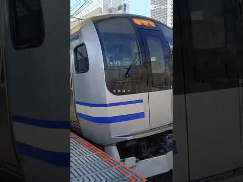 さくらんぼ横須賀線Ｅ217系