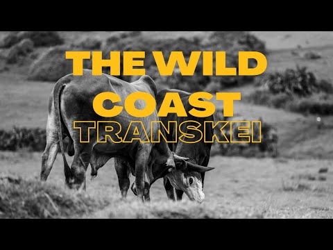 FujiFilm XH2s Cinematic | The Wild Coast