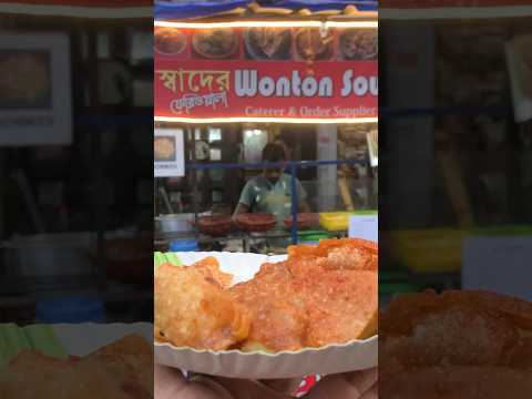 Wonton Noodles এত কম দামে 😲12 পিস only ₹100 #streetfood #kolkata #bagbazar