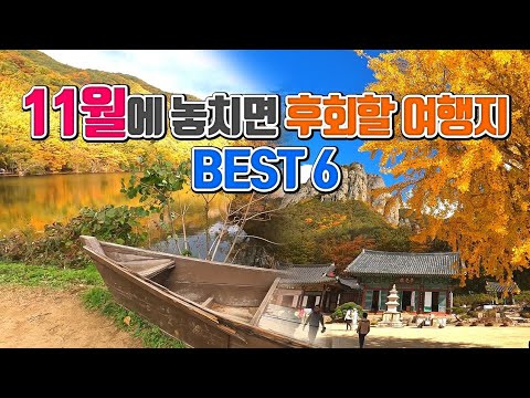 11월에 놓치면 후회할 국내여행지 BEST6 /국내여행 추천 /11월 여행지 추천 /10월 여행지 추천 /가을 여행지 추천 /단풍 여행지 추천 /아산 여행 /울산 여행