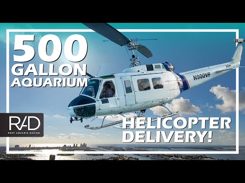 FLYING JELLYFISH BOWLS - 500 GALLON CUSTOM AQUARIUM DELIVERED BY HELICOPTER TO A MIAMI PENTHOUSE