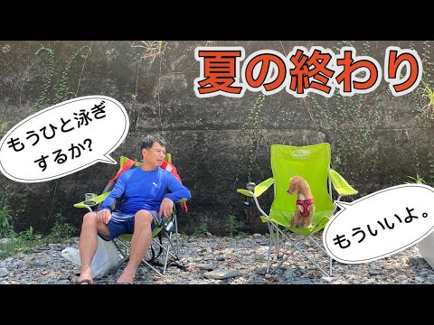 【奈良県吉野町】愛犬と過ごす今年最後の川遊び🐶✨古民家カフェともちもちのベーグル屋さん🥯