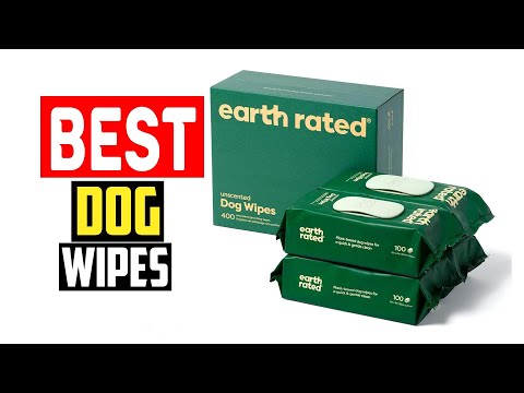 ✅Top 5 Best Dog Wipes To Keep Your Canine Clean In Between Baths in 2024