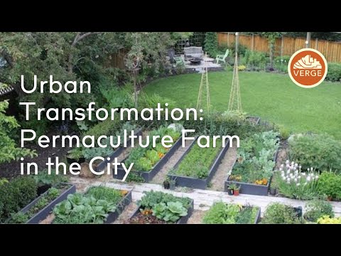 Case Study: Transforming an Urban Property to a Permaculture Farm