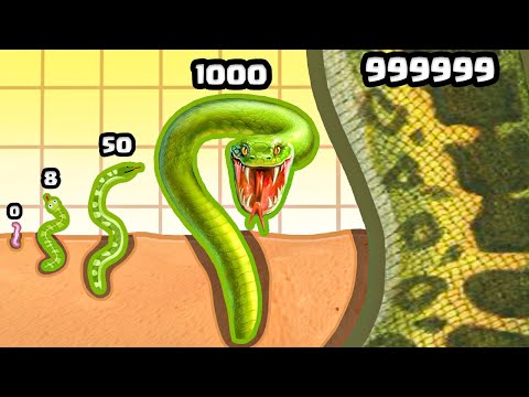 Growing a WORM to MAX LEVEL SNAKE