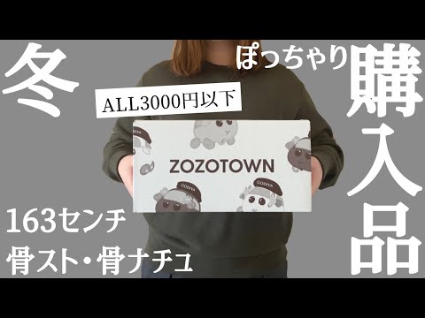 【ぽっちゃり購入品紹介】3000円以下｜ZOZOTOWN購入品｜大当たり｜買ってよかった｜冬ぽっちゃり服｜