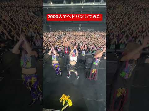 2000人のヘドバンがやばい #01gの誤算 #バンギャ #緑川ゆう