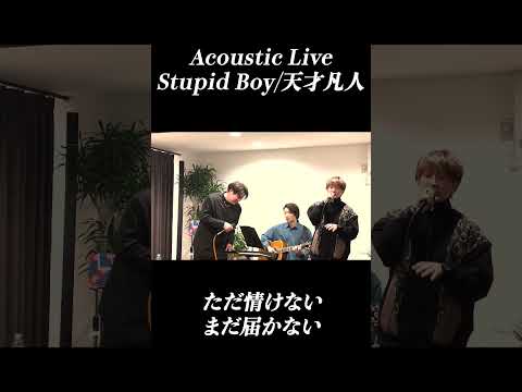 Stupid Boy/天才凡人 #acoustic #歌上手い #天才 #凡人 #いい曲