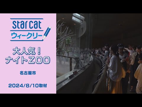 大人気！ナイトZOO【StarCat ウィークリー】2024年8月15日放送